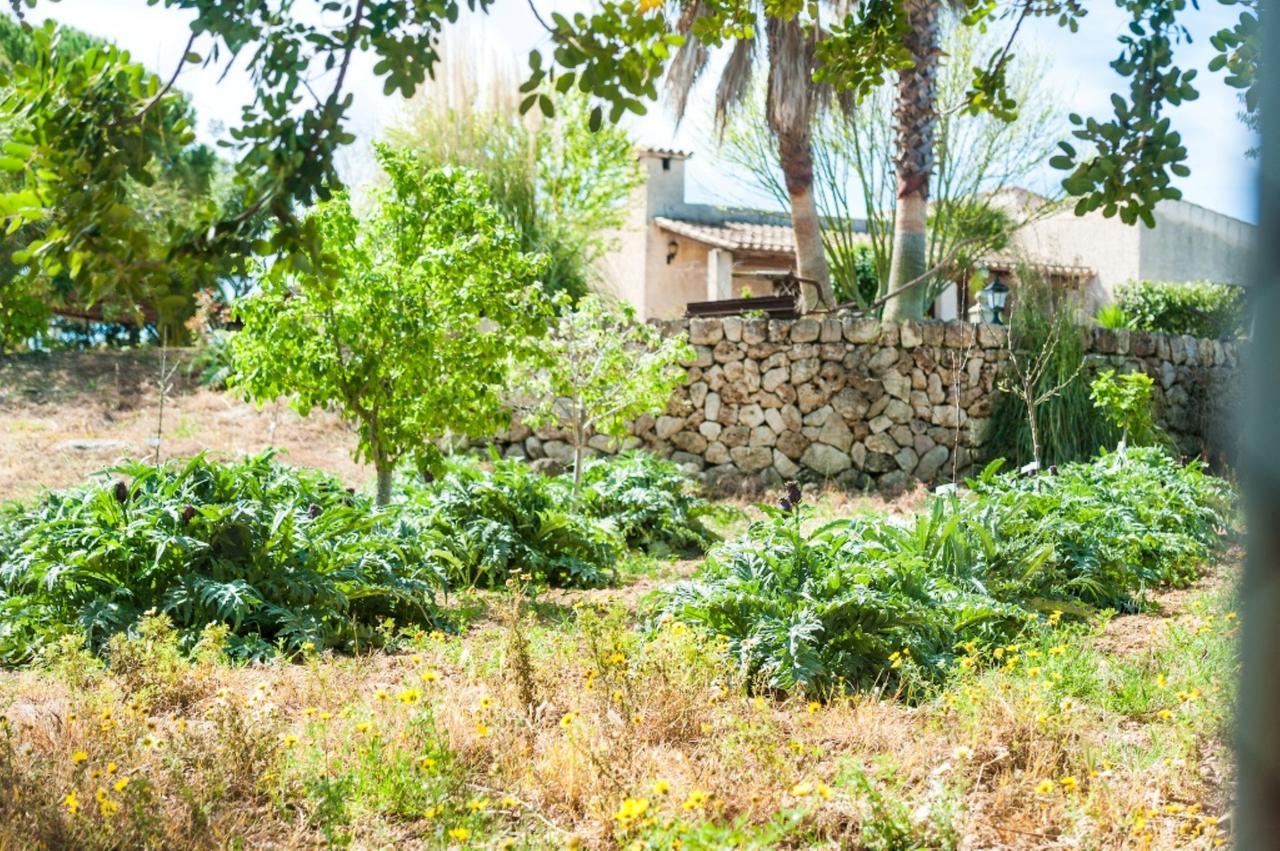Hébergement de vacances Villa Santa Margalida