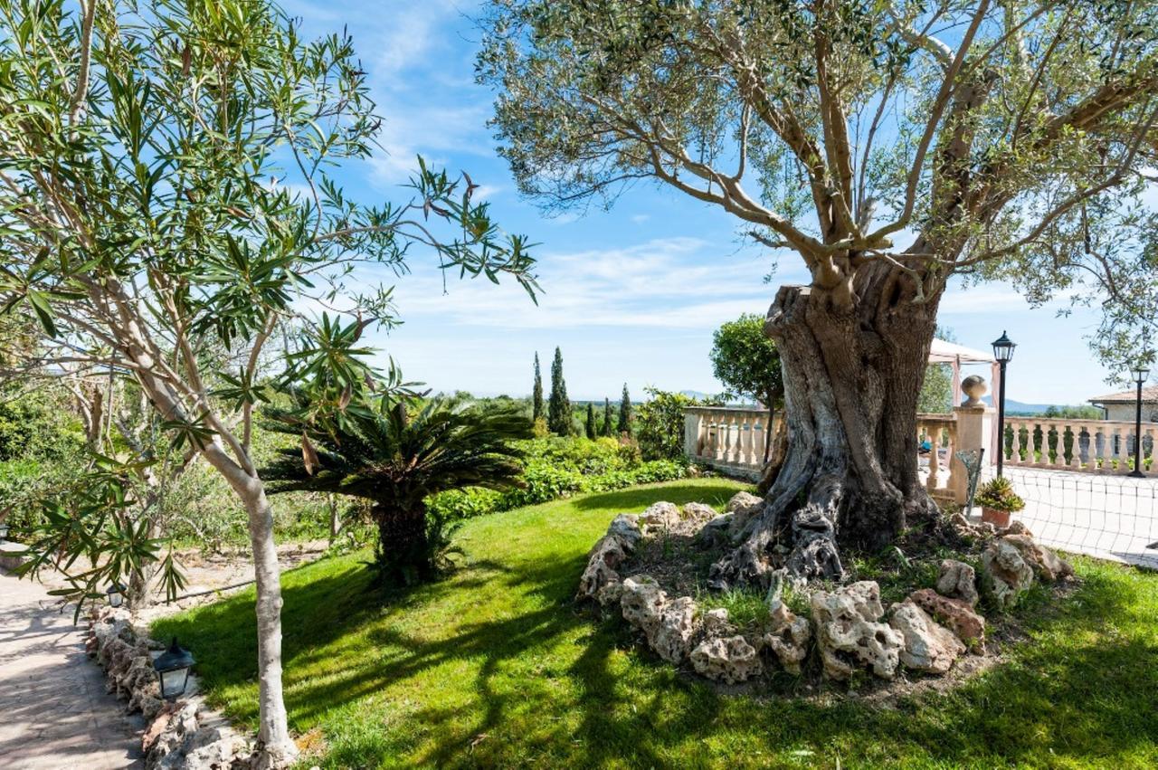 Villa Hébergement de vacances Santa Margalida